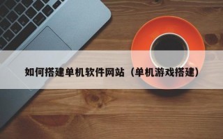 广州如何搭建单机软件网站（单机游戏搭建）